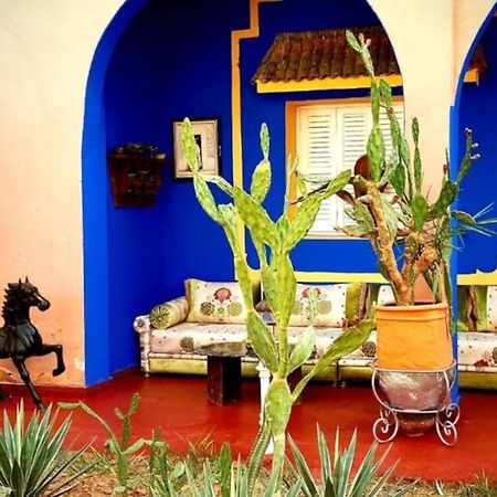 Riad Jasmine Sud Zagora Exteriér fotografie