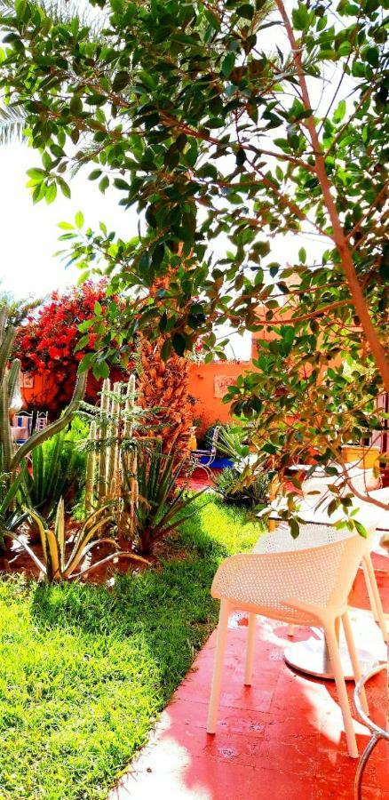 Riad Jasmine Sud Zagora Exteriér fotografie